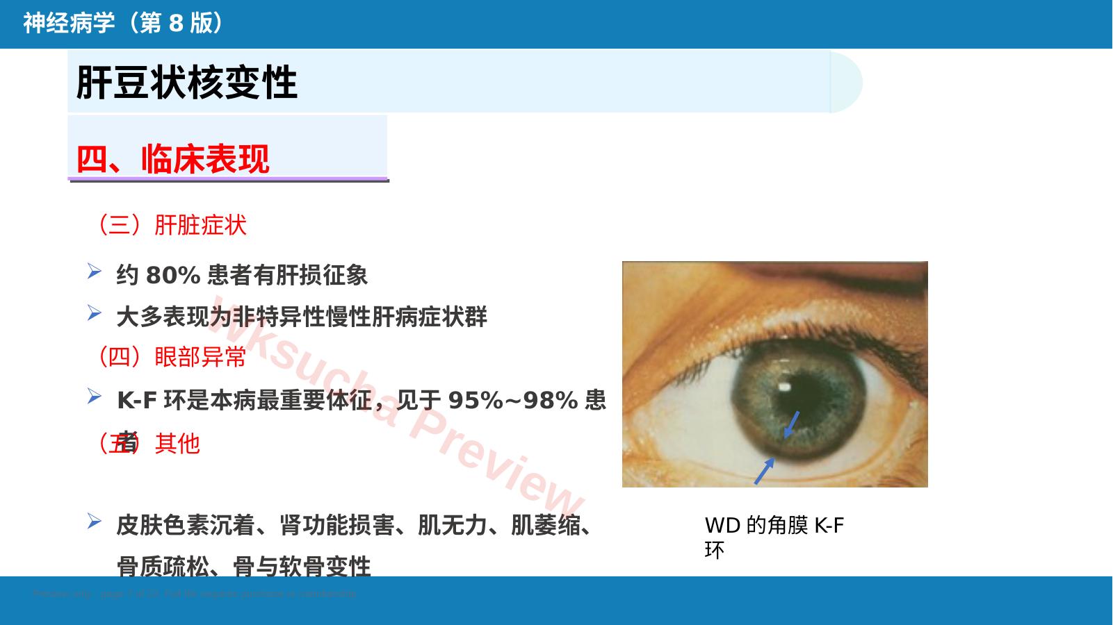 预览第 7 页