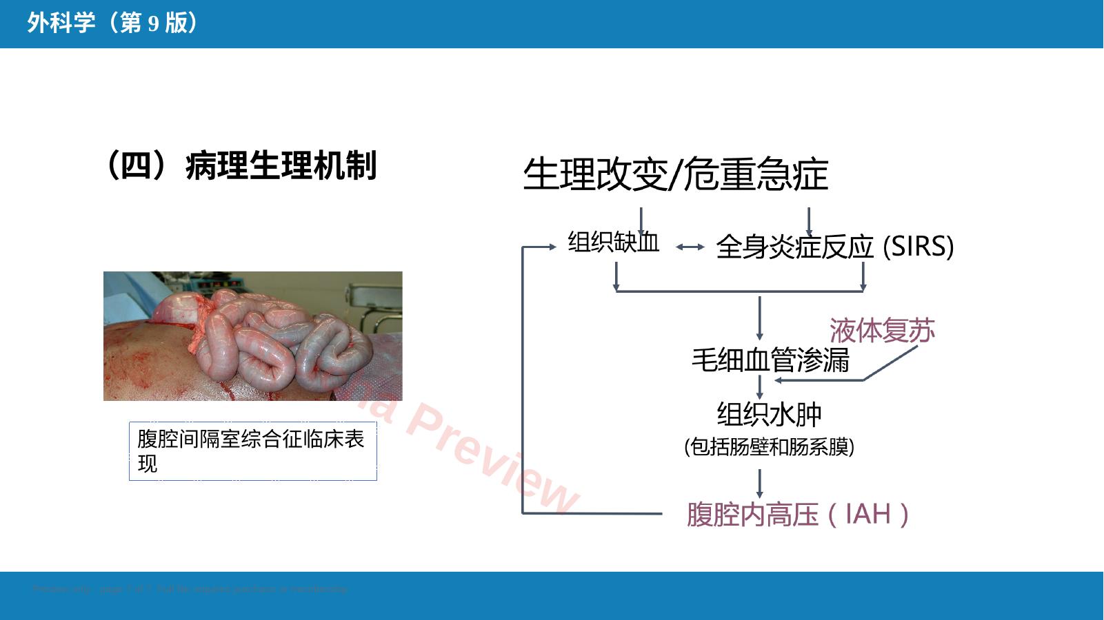 预览第 7 页