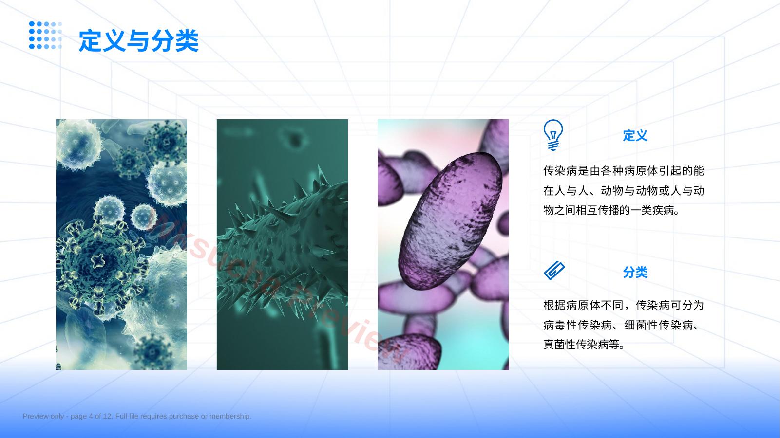 预览第 4 页
