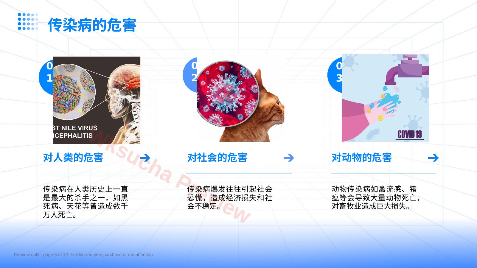 预览第 5 页
