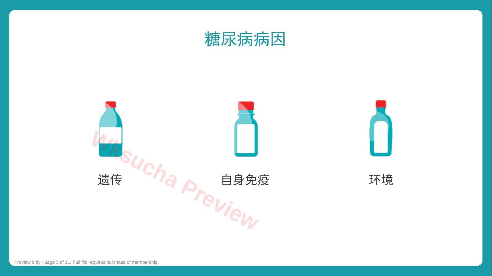 预览第 5 页