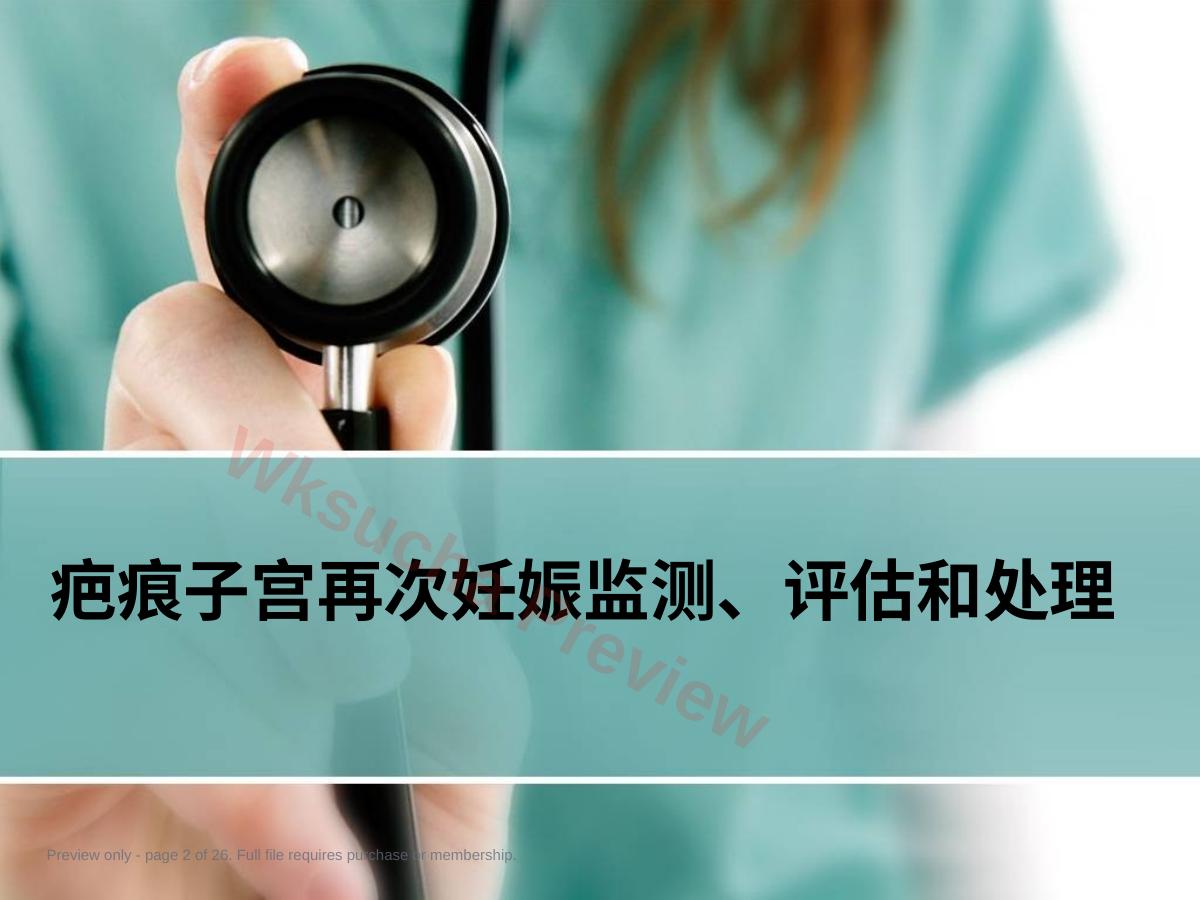 预览第 2 页