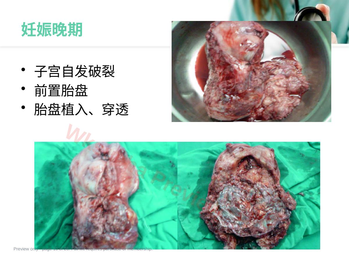 预览第 10 页