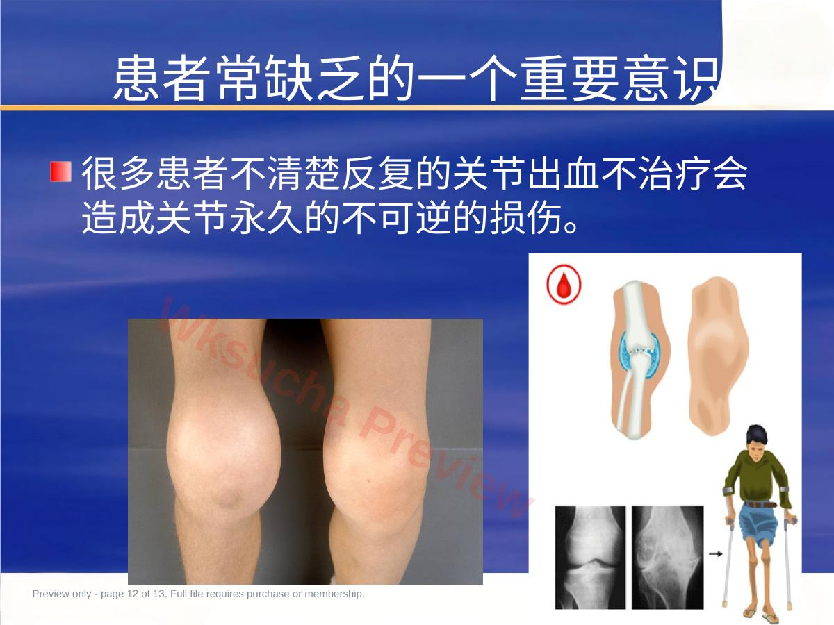预览第 12 页