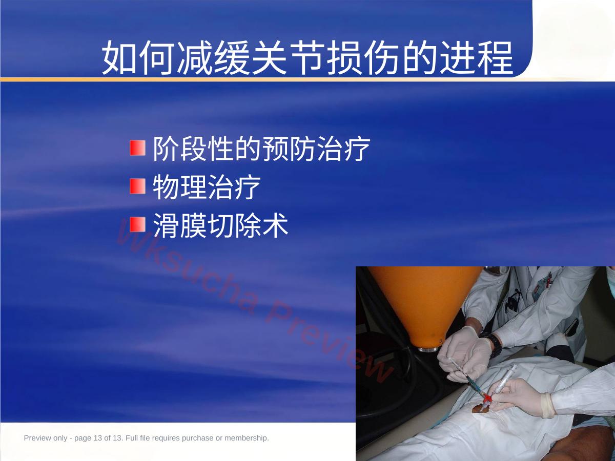 预览第 13 页