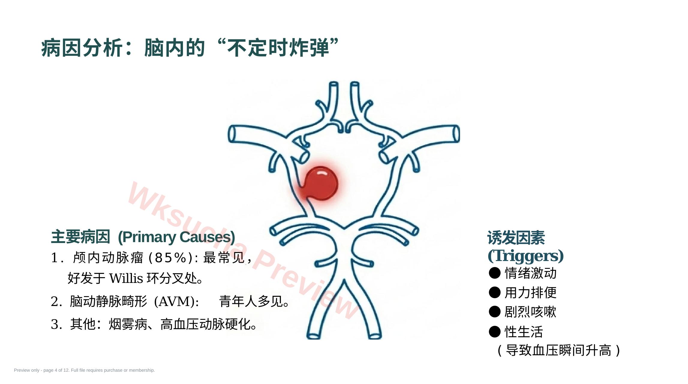 预览第 4 页