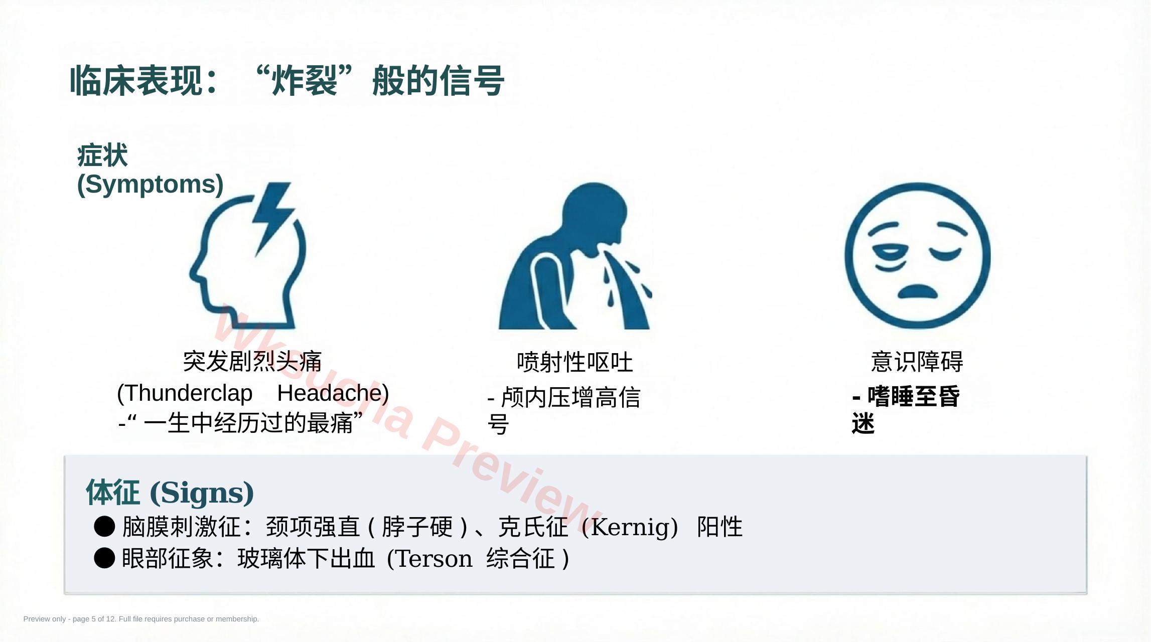 预览第 5 页