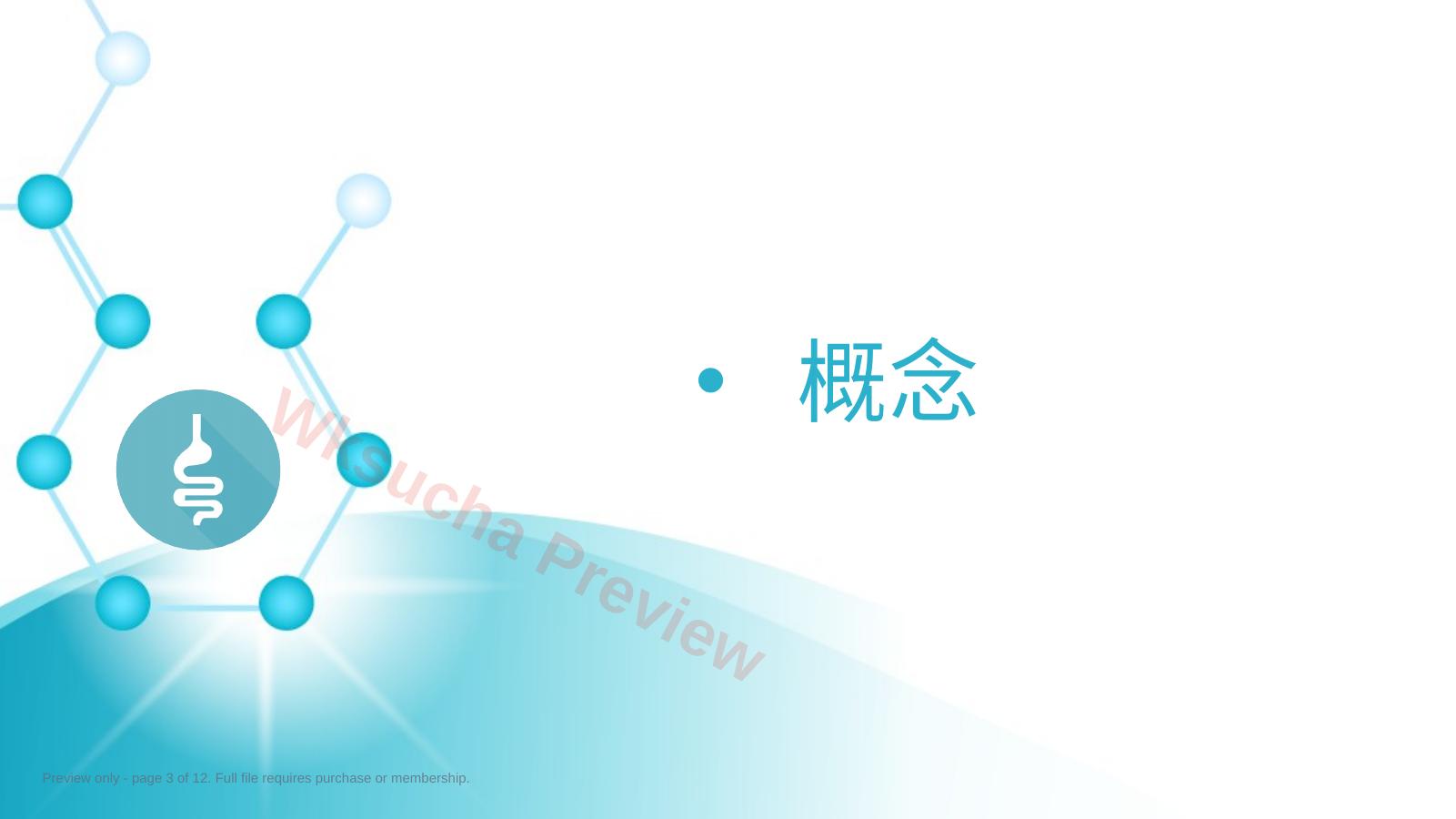 预览第 3 页