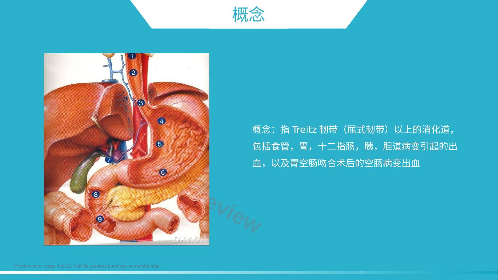 预览第 4 页