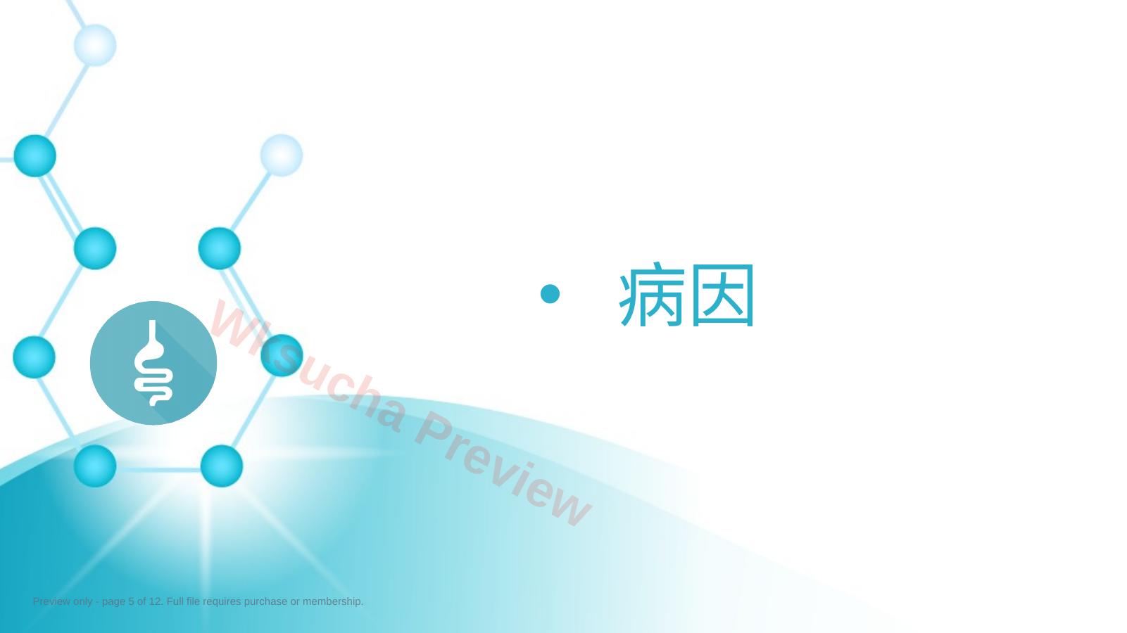 预览第 5 页