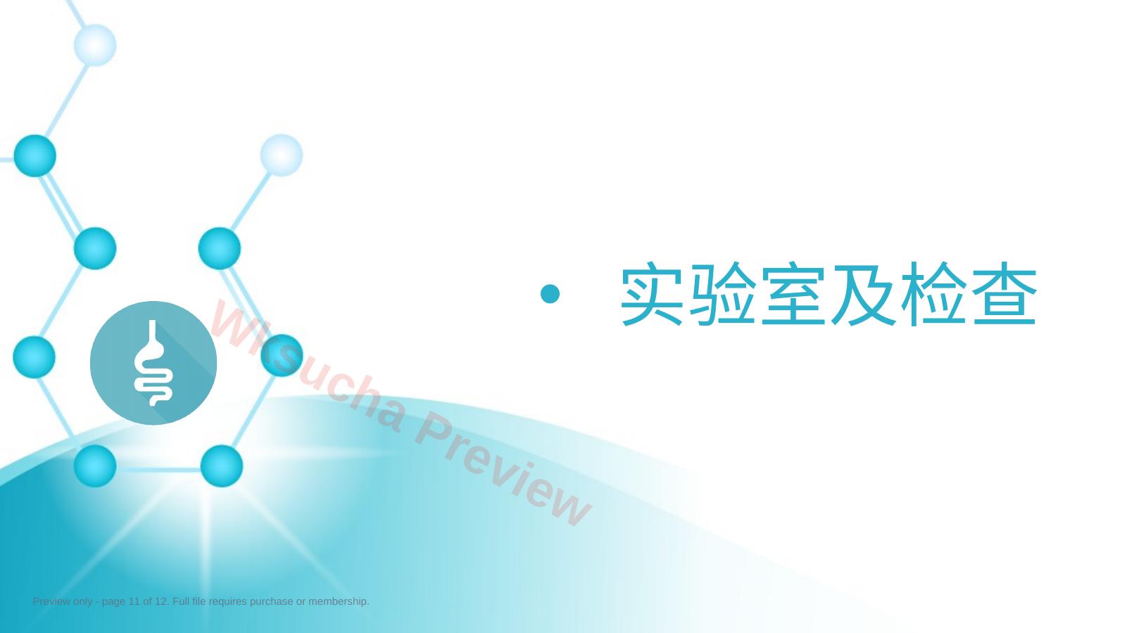 预览第 11 页