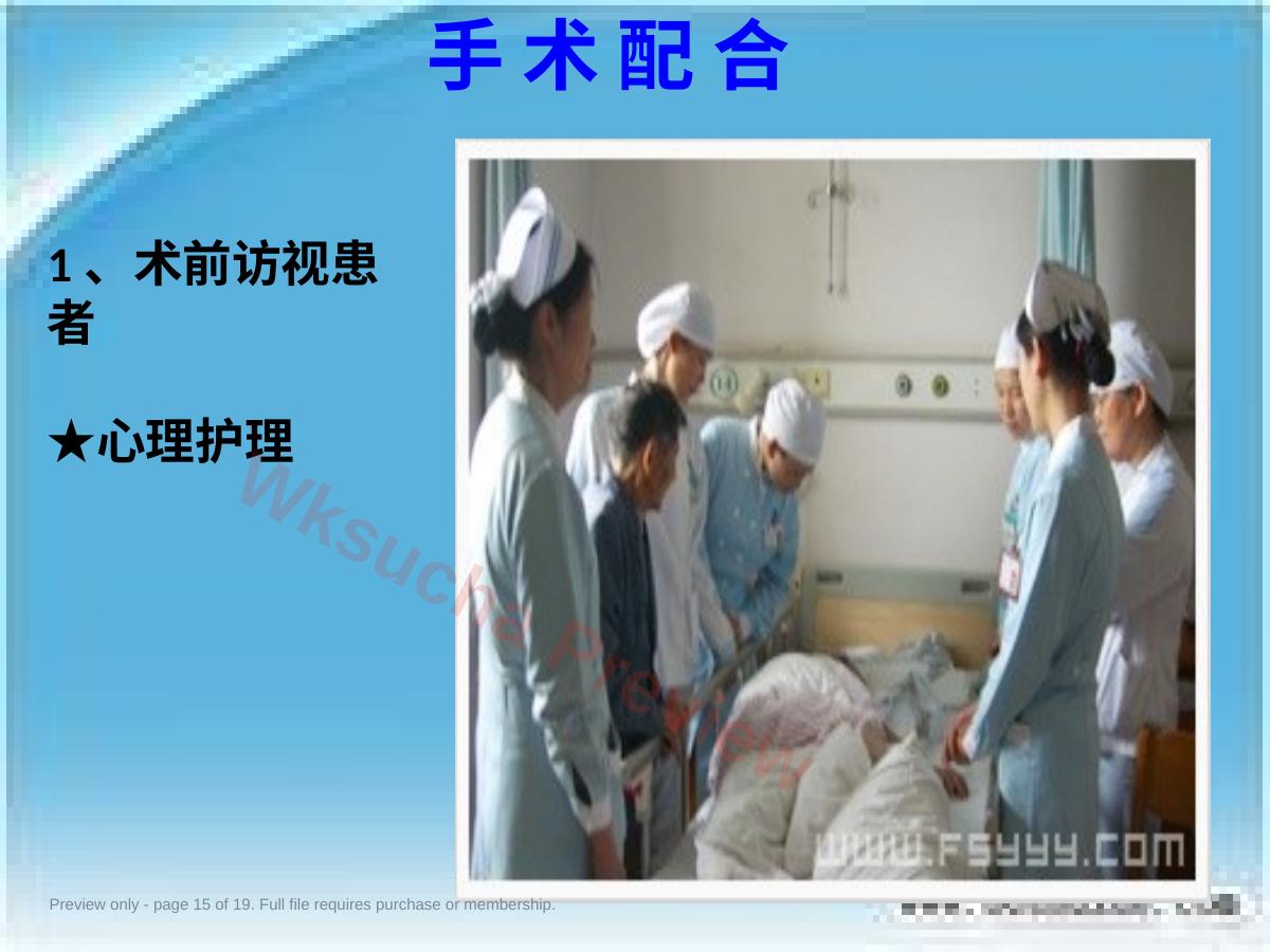 预览第 15 页