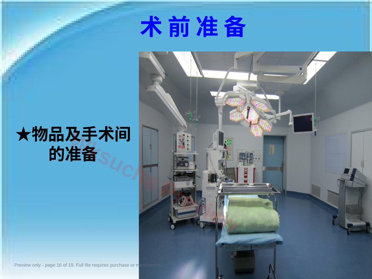 预览第 16 页