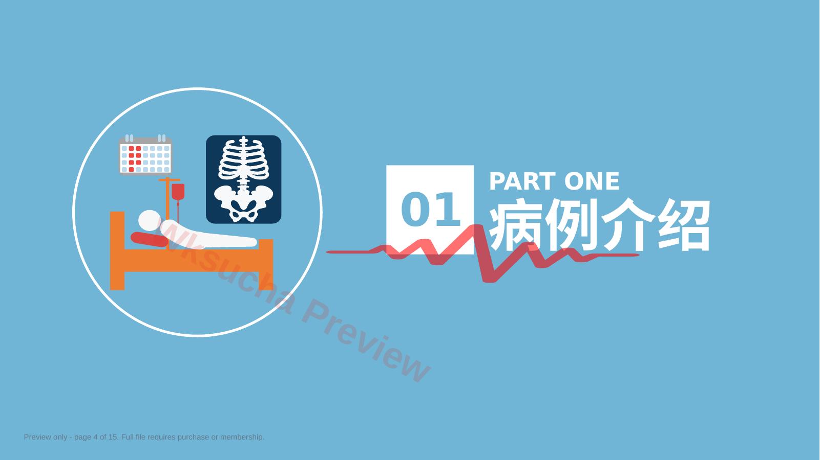 预览第 4 页