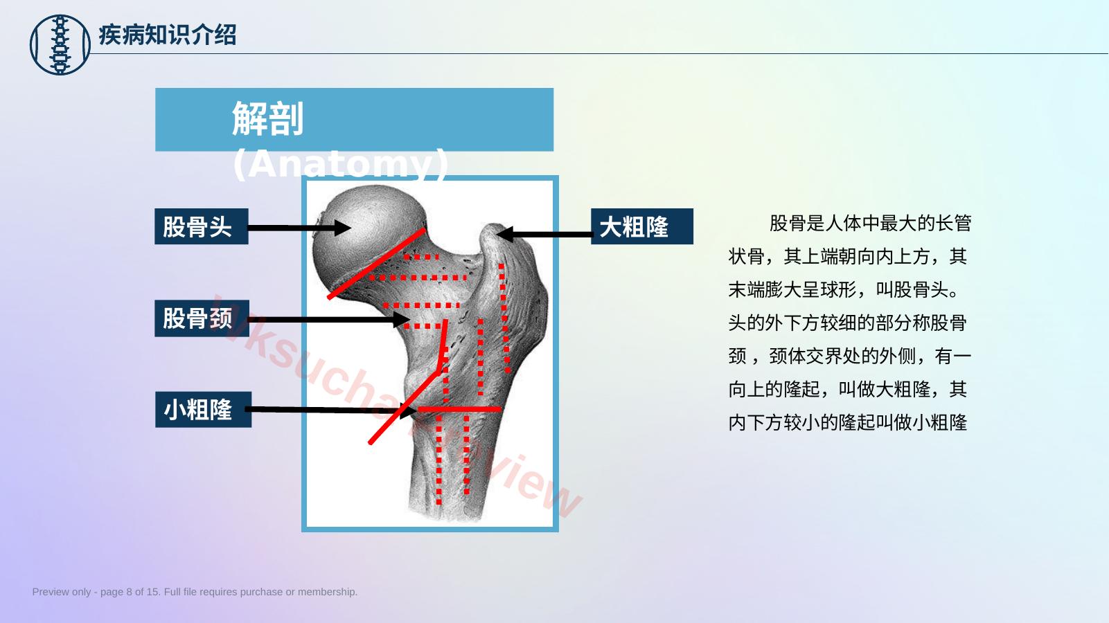 预览第 8 页