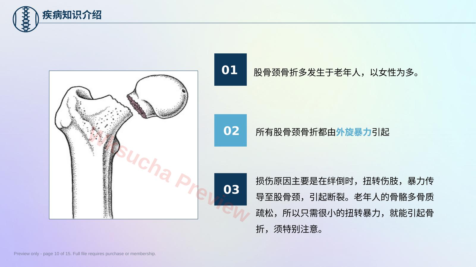 预览第 10 页
