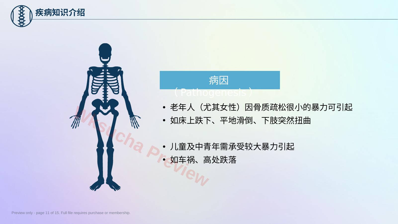预览第 11 页