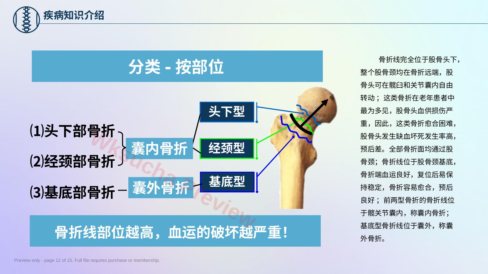预览第 12 页