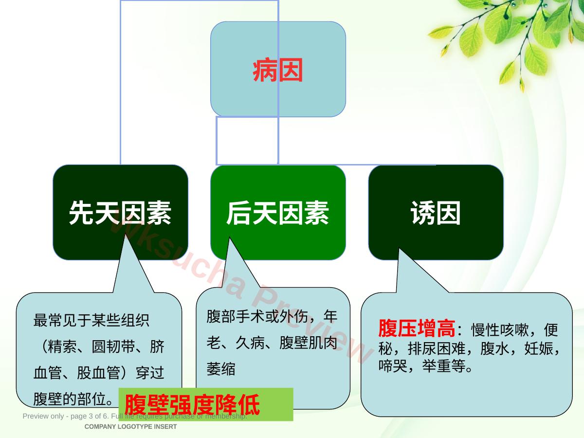 预览第 3 页