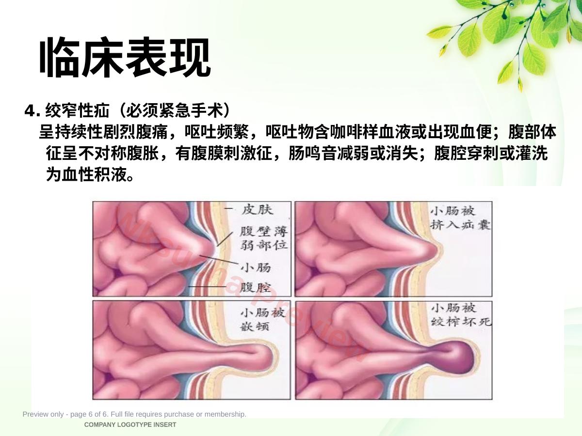 预览第 6 页