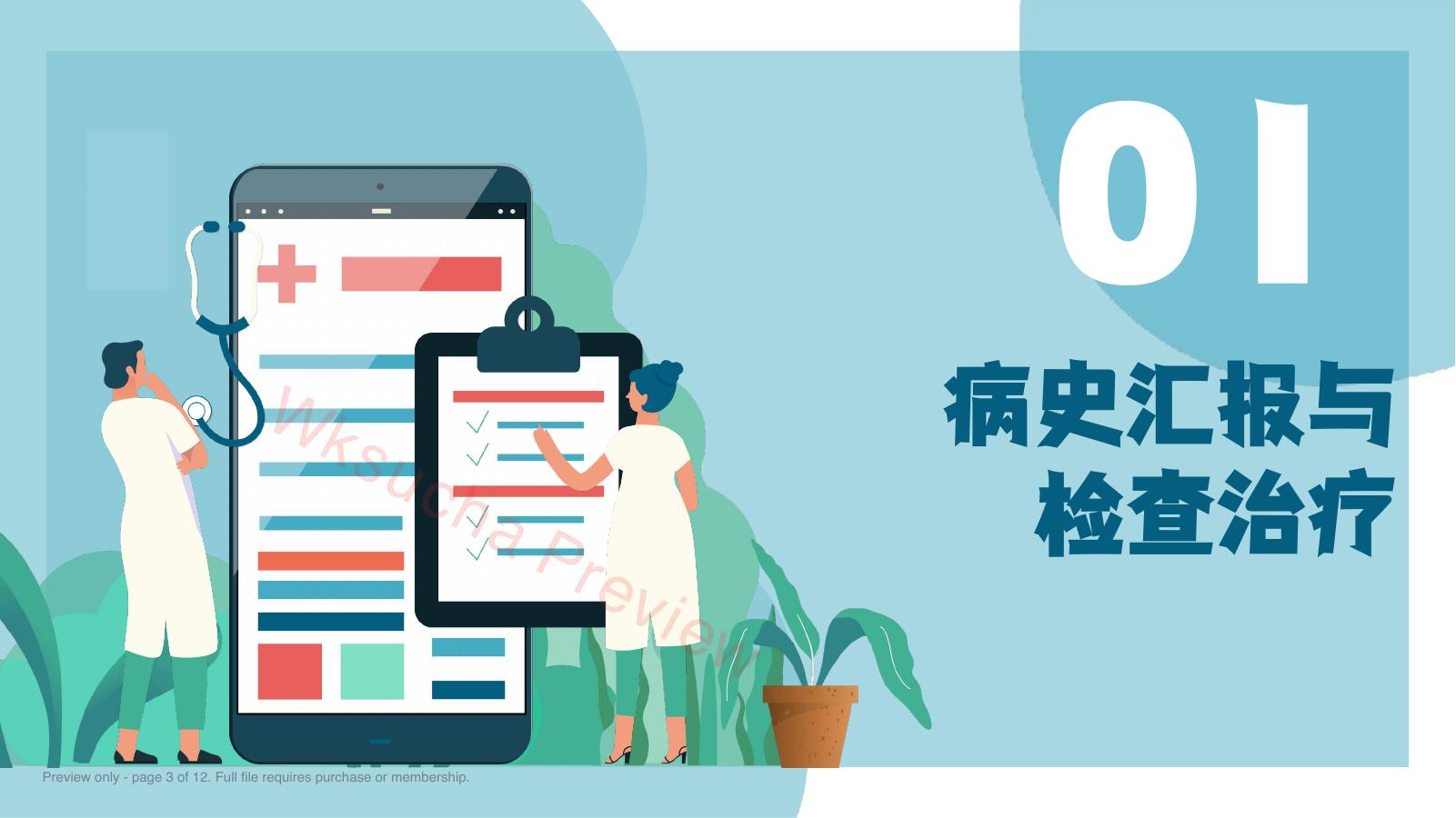 预览第 3 页