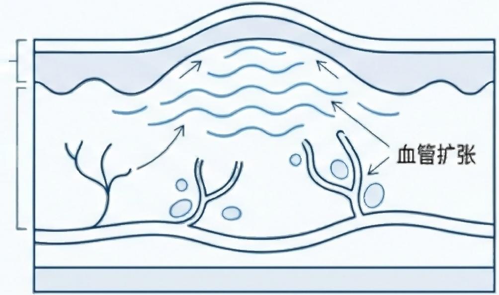预览第 3 页