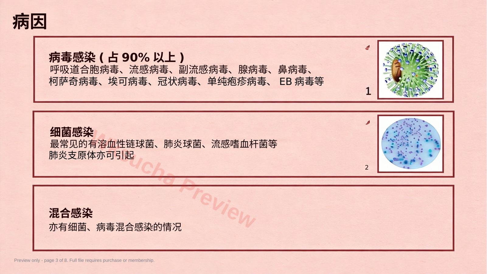 预览第 3 页