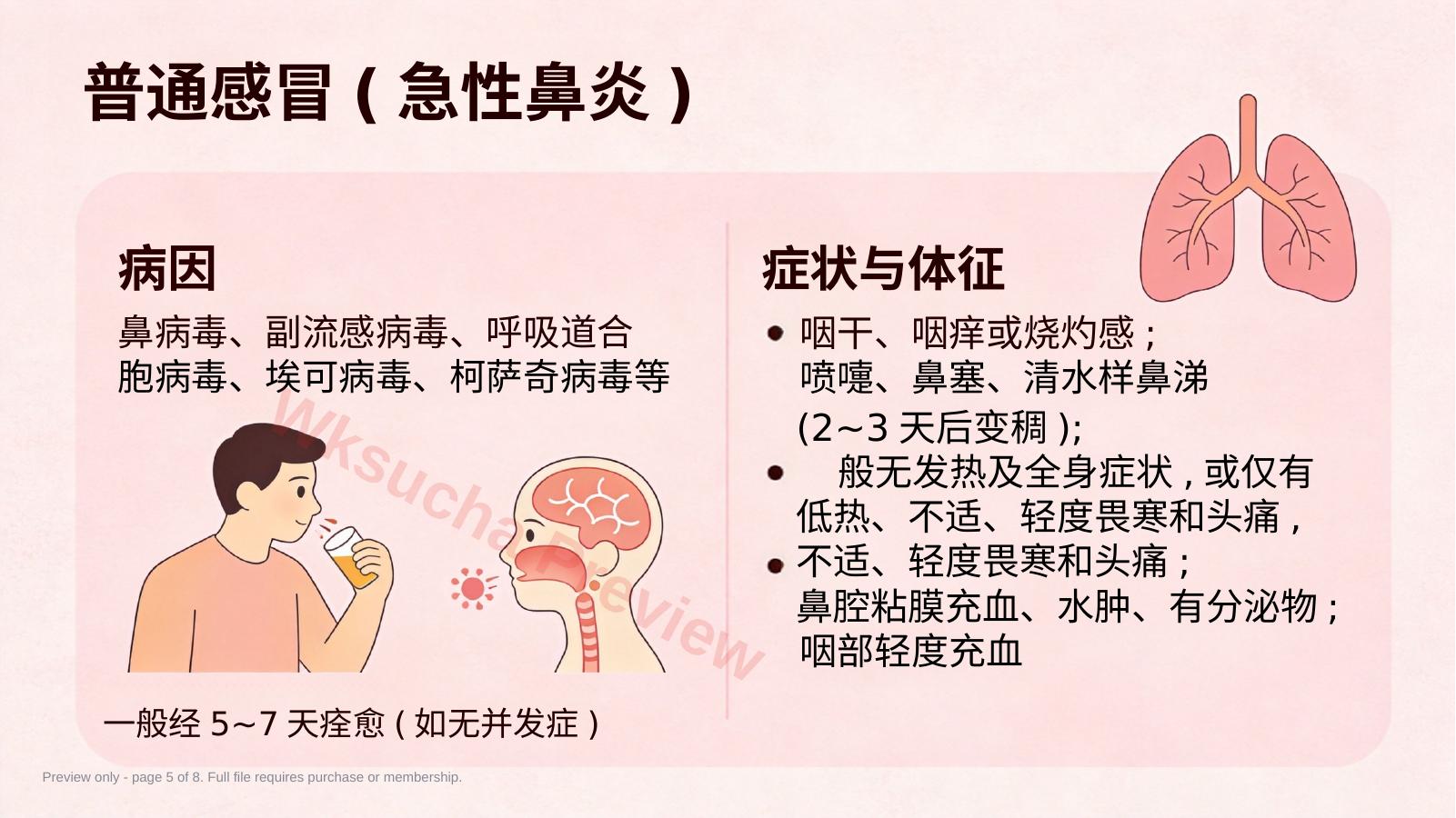 预览第 5 页