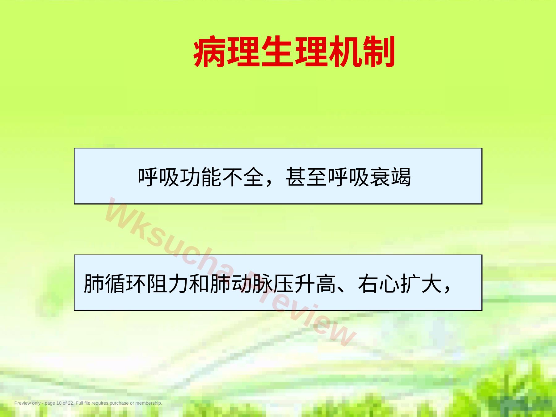 预览第 10 页