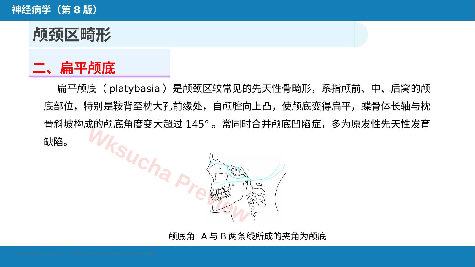 预览第 10 页