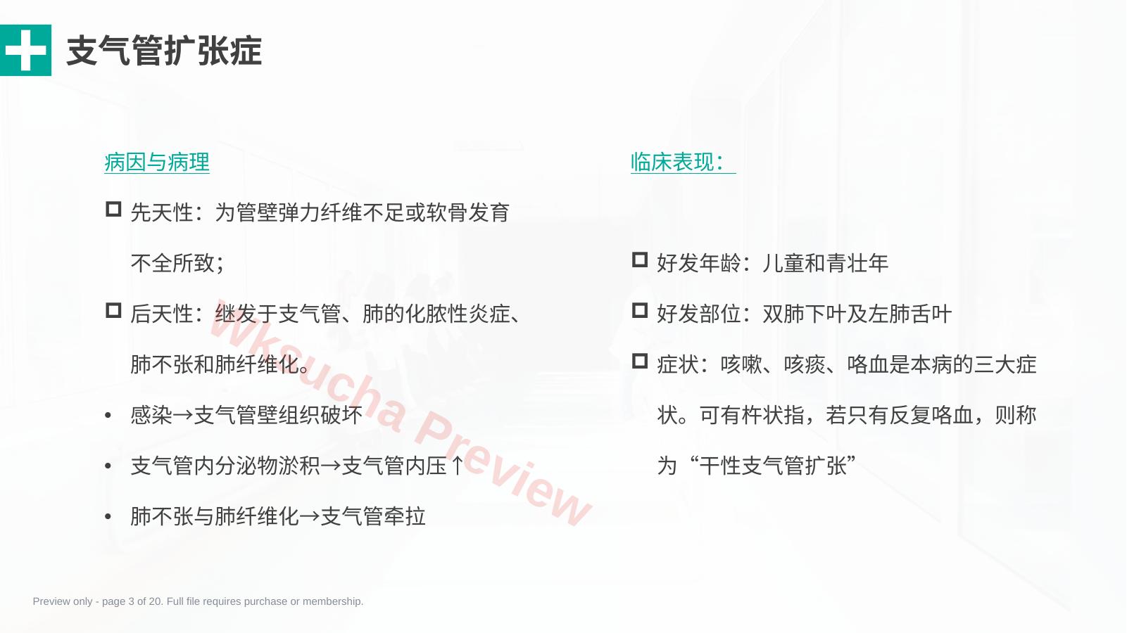 预览第 3 页