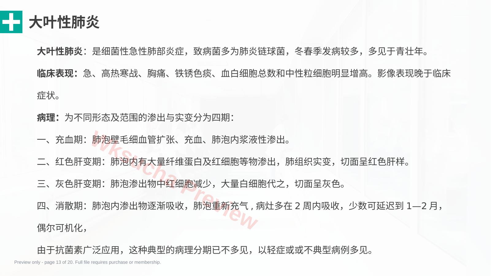 预览第 13 页