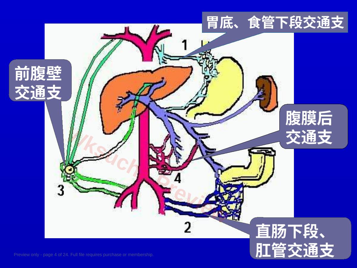 预览第 4 页