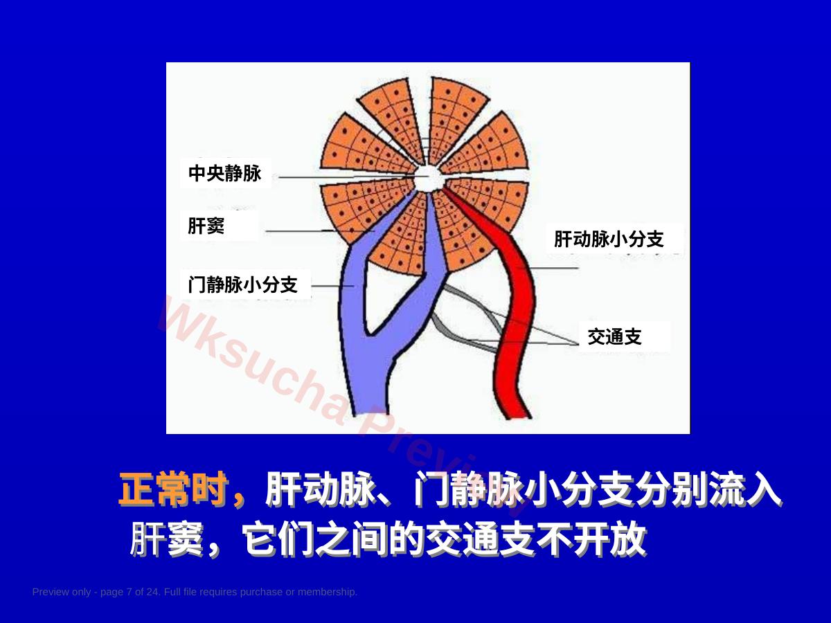 预览第 7 页