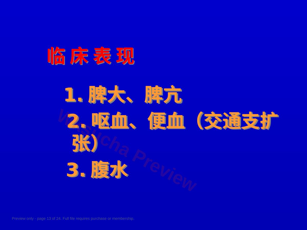 预览第 13 页