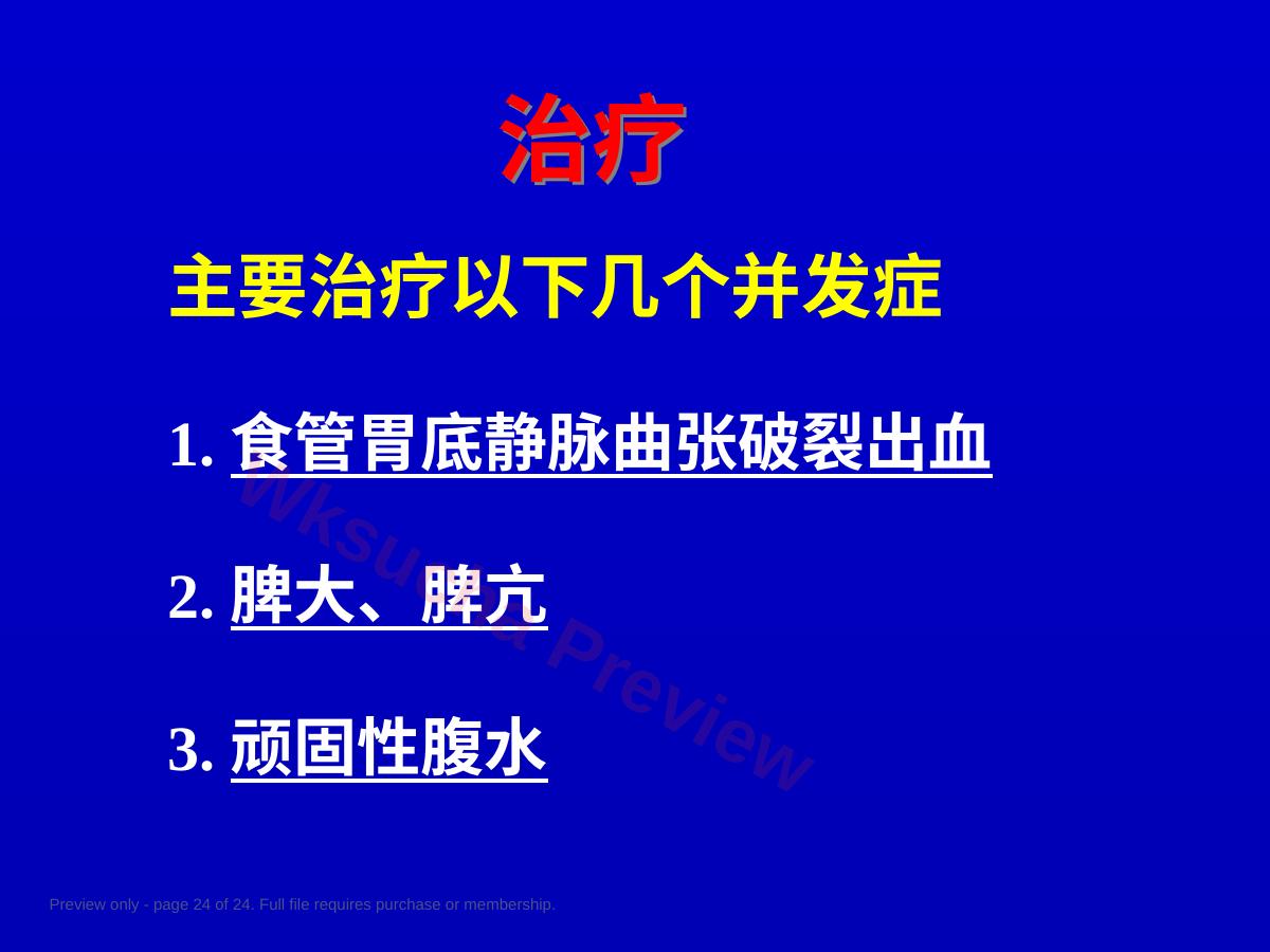 预览第 24 页