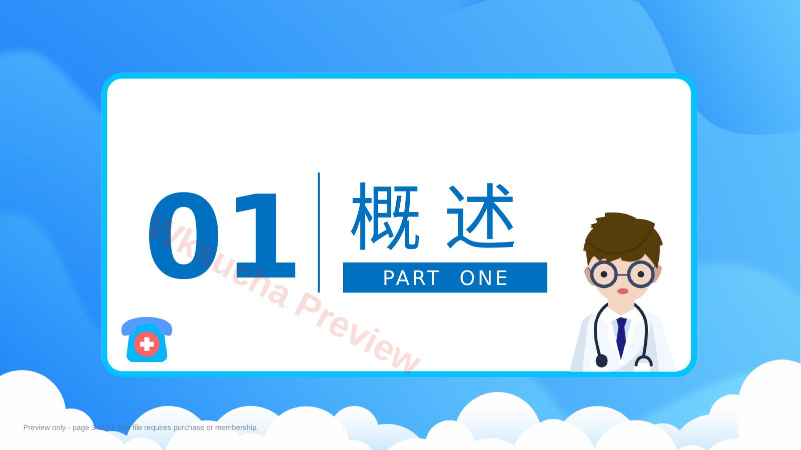 预览第 3 页