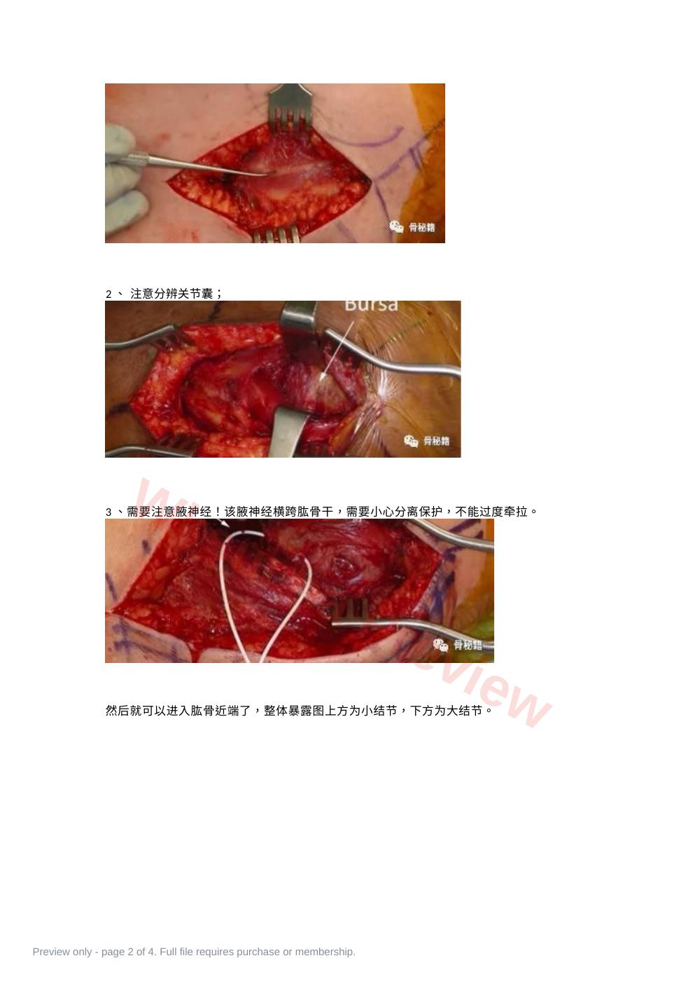 预览第 2 页