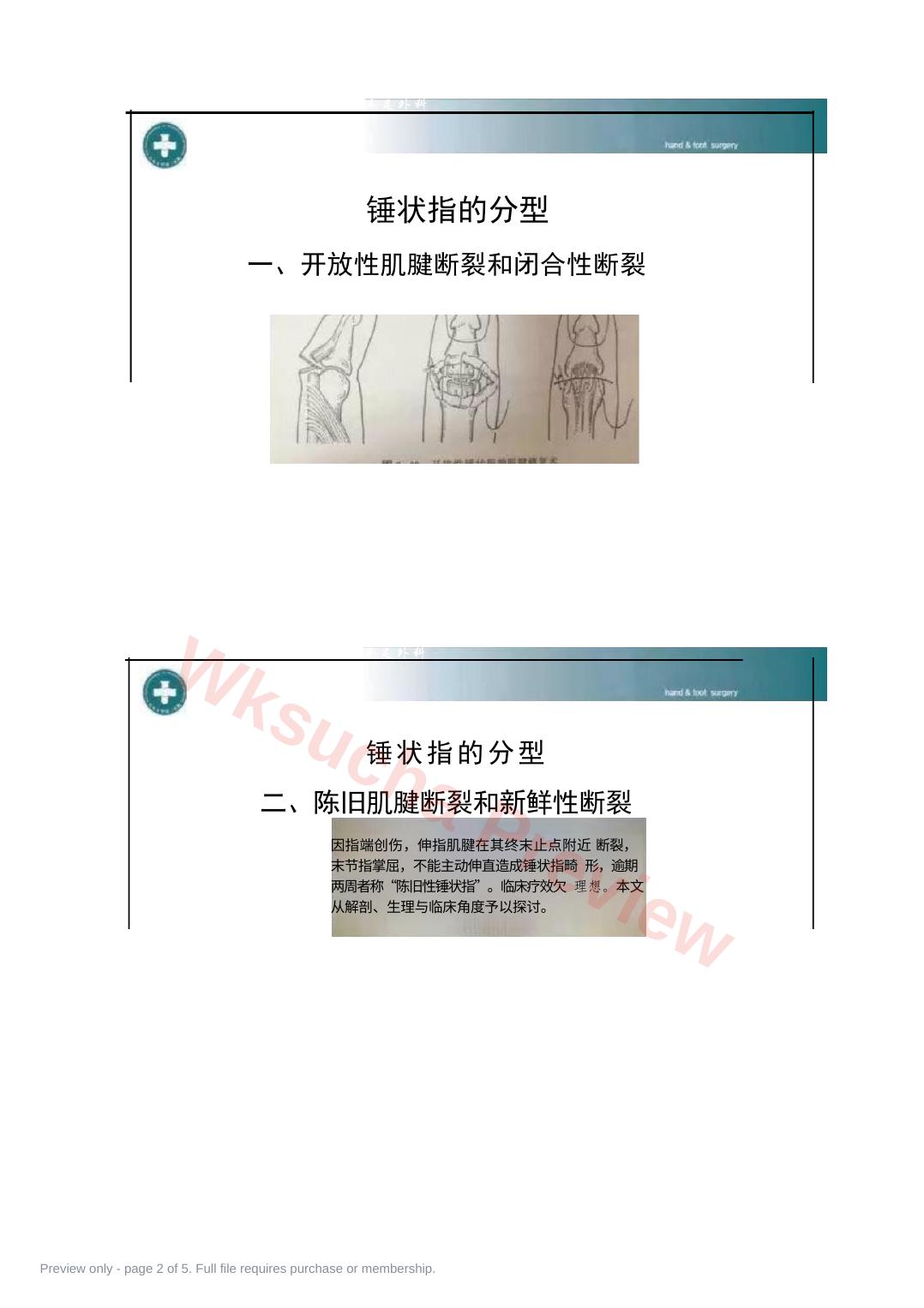 预览第 2 页