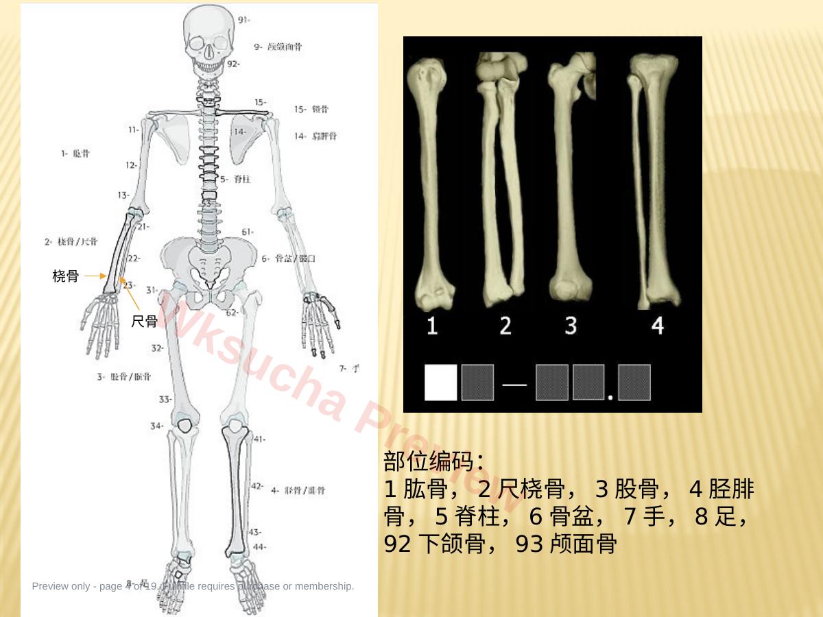 预览第 4 页