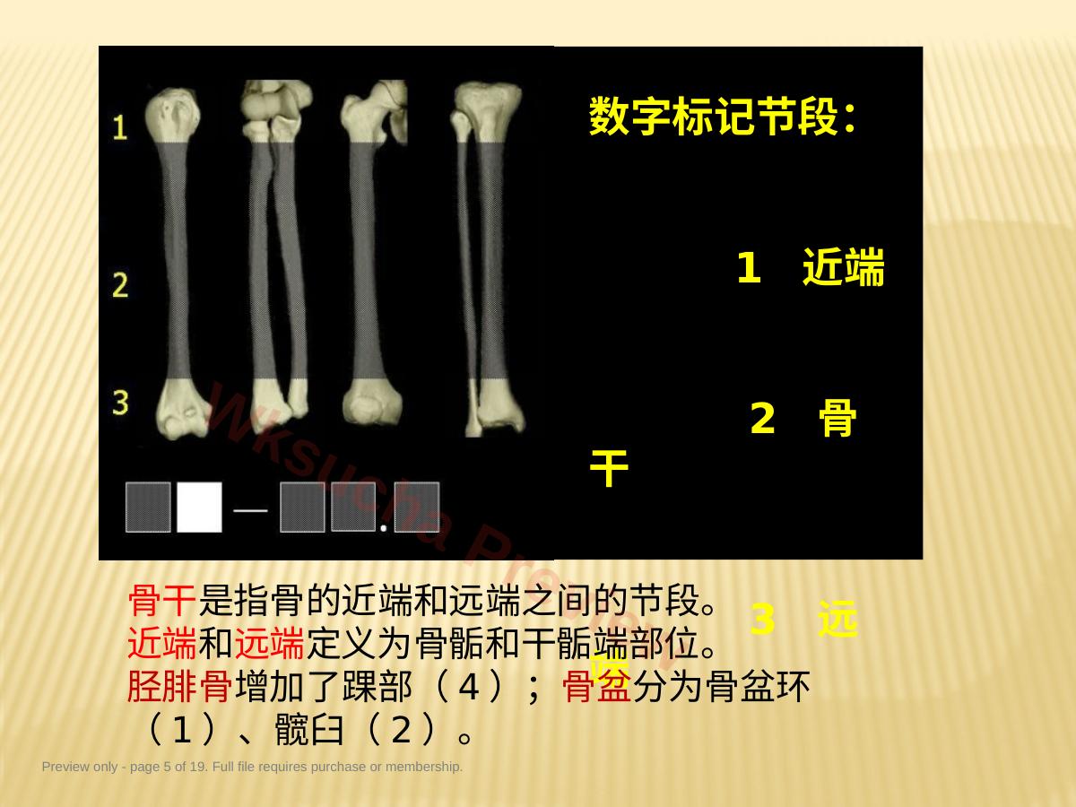 预览第 5 页