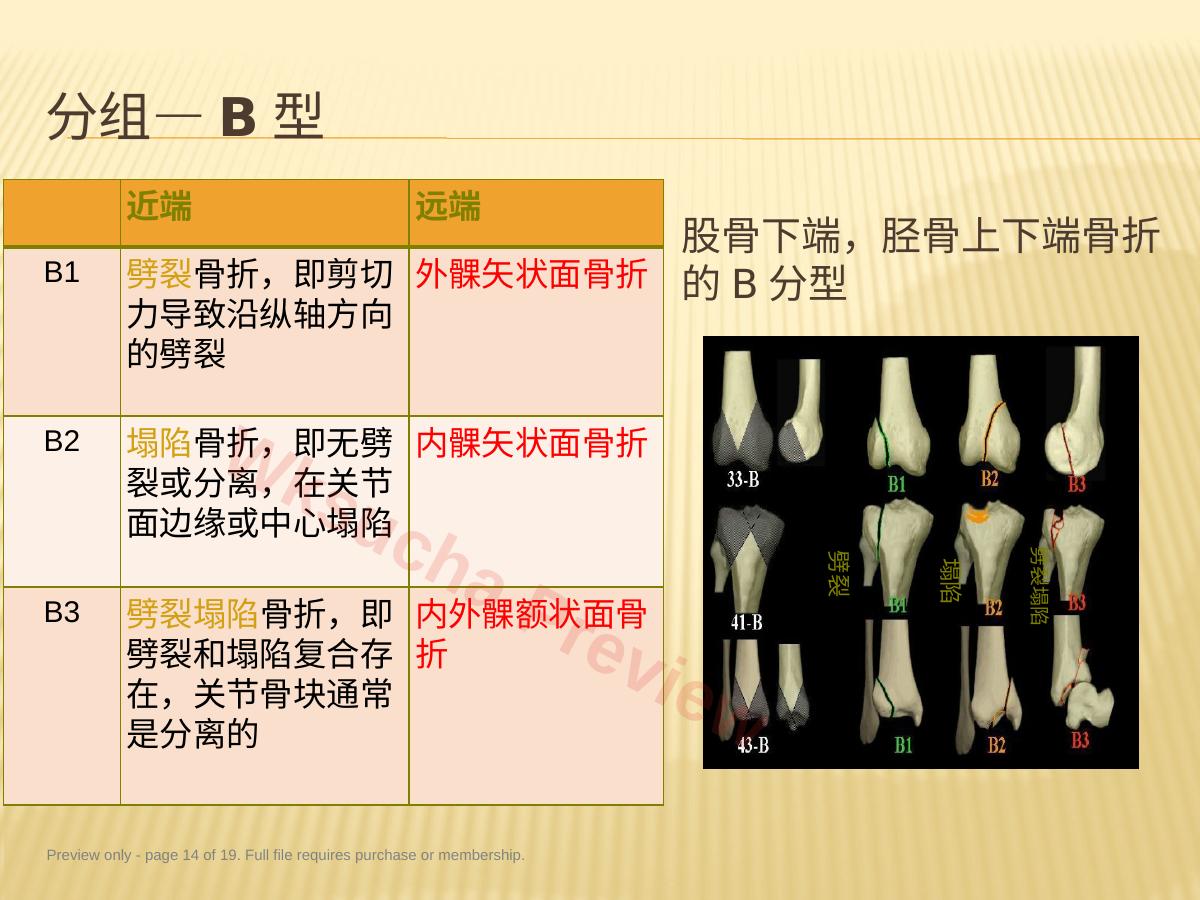 预览第 14 页