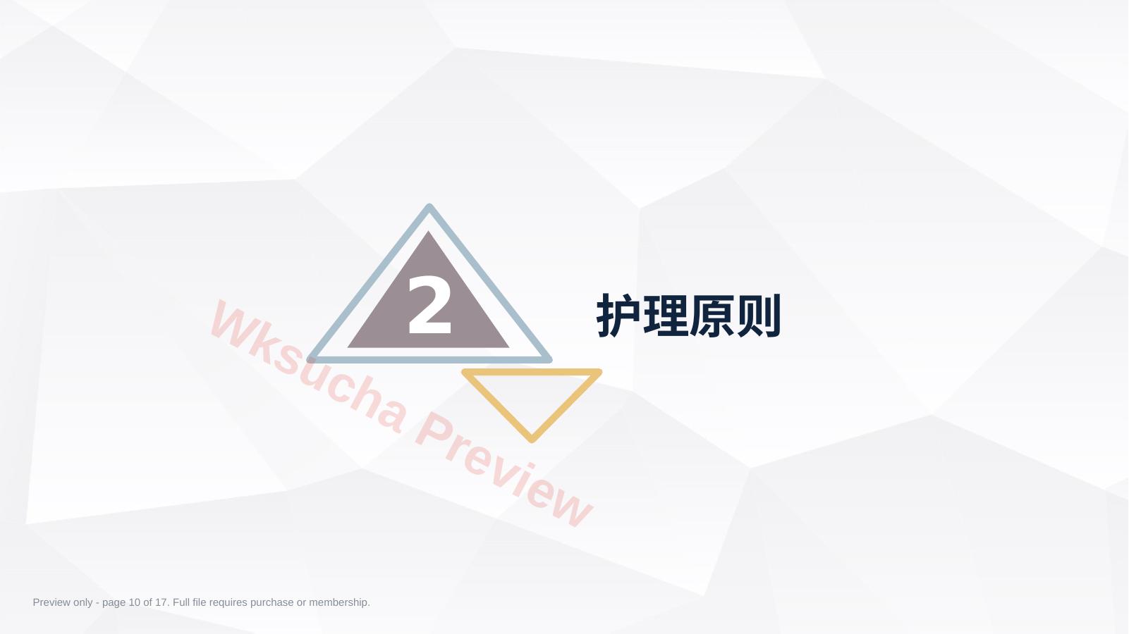 预览第 10 页
