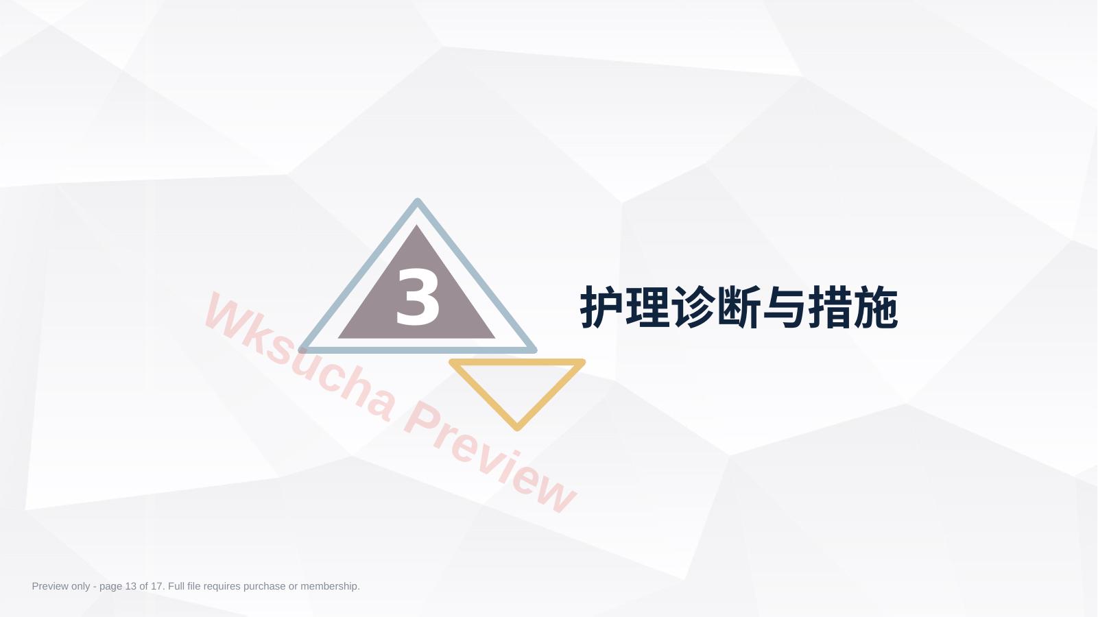 预览第 13 页