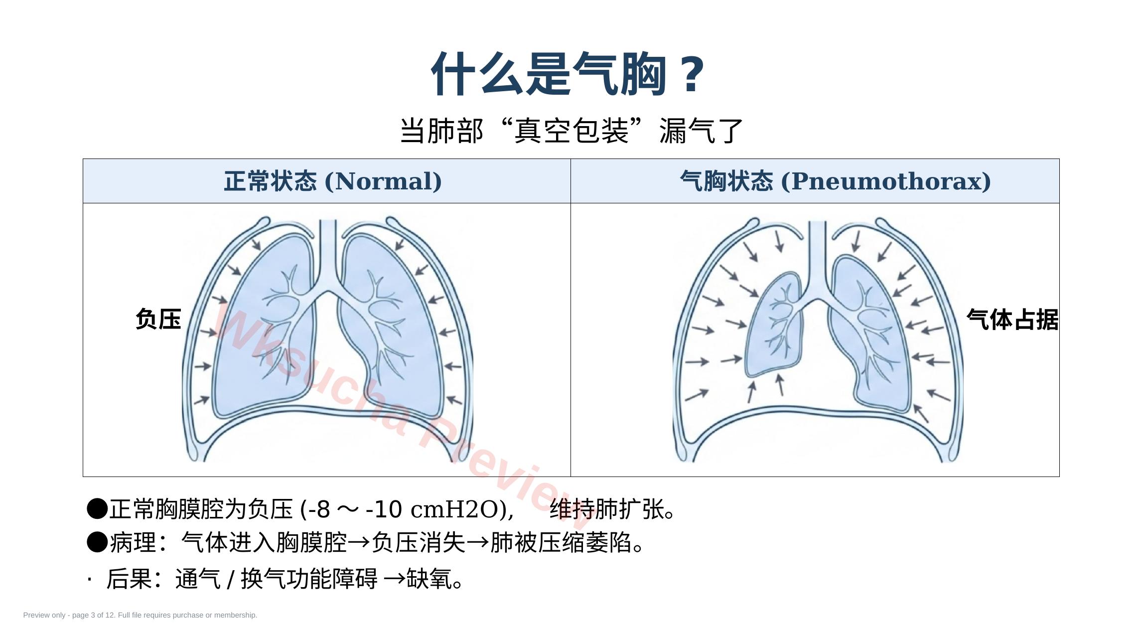 预览第 3 页