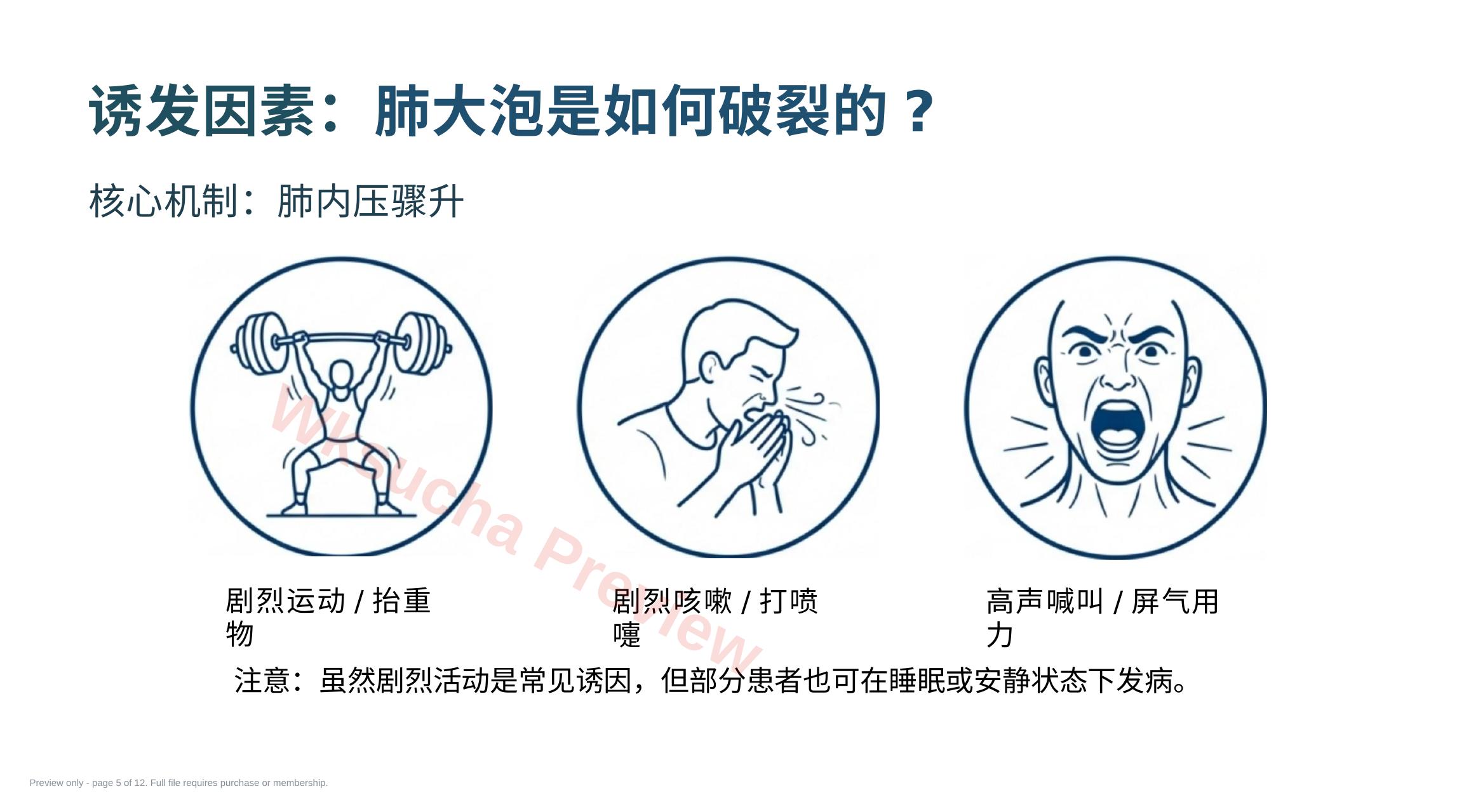 预览第 5 页