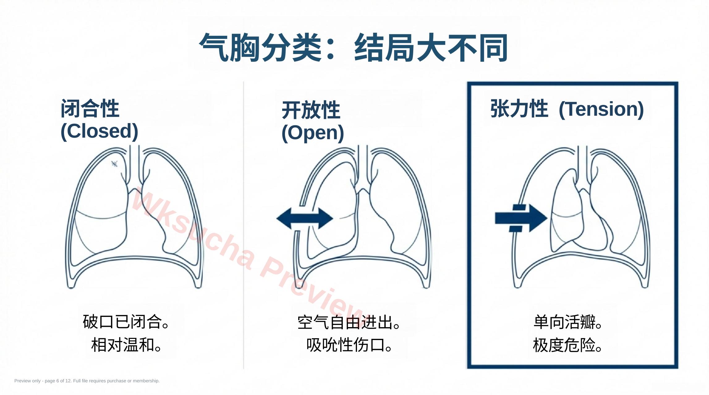 预览第 6 页