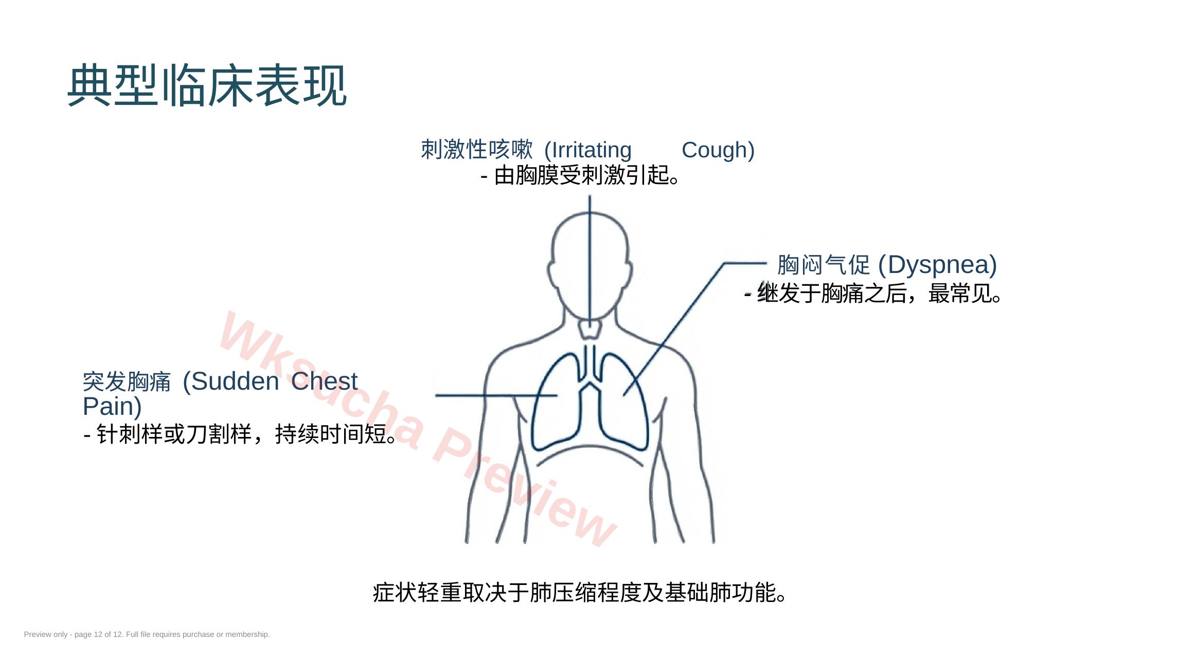 预览第 12 页