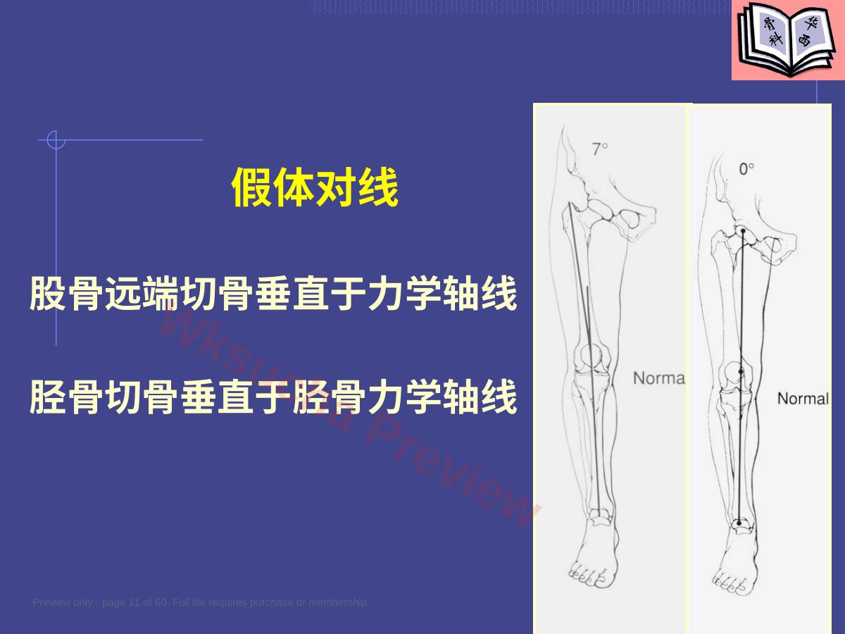 预览第 11 页