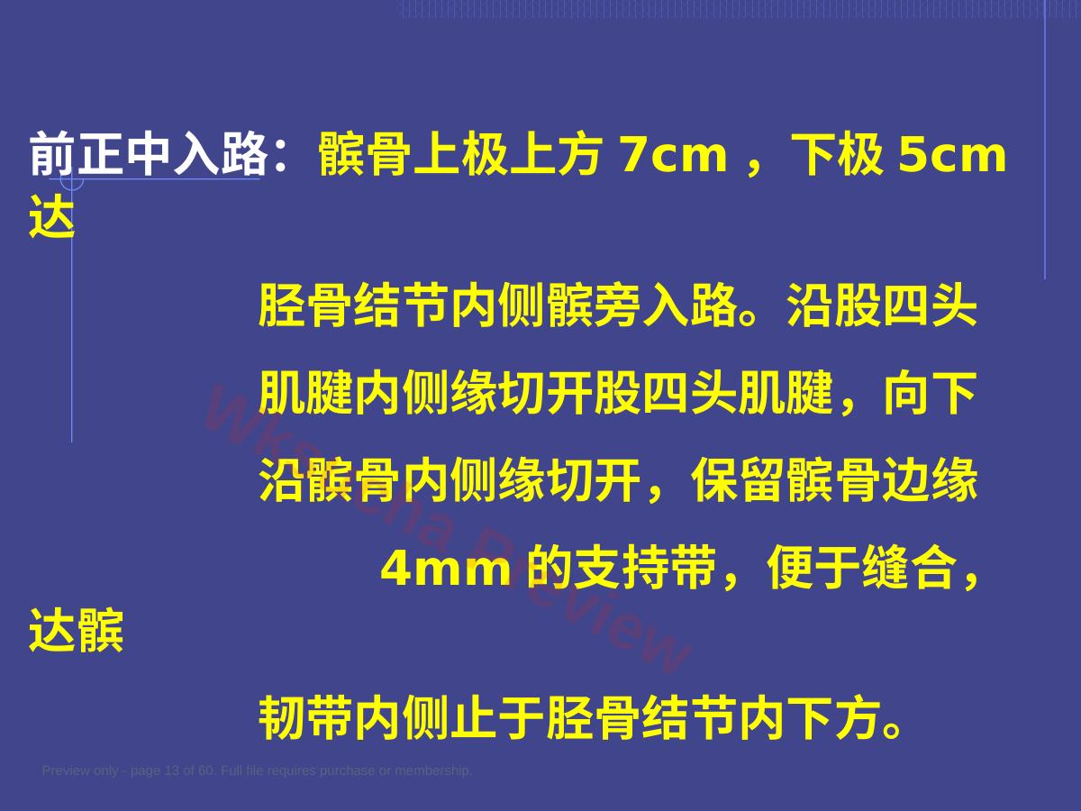 预览第 13 页